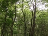 IMG_4867_DxO