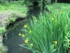 IMG_4869_DxO