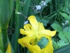 IMG_4872_DxO