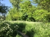 IMG_4802_DxO