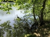 IMG_4808_DxO