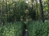 IMG_4843_DxO