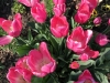 IMG_4816_DxO