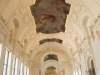 DSC02237_DxO_1