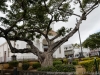 DSC02344_DxO
