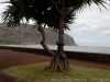 DSC02345_DxO