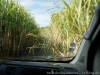DSC02355_DxO