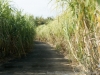 DSC02356_DxO