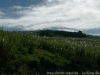 DSC02358_DxO