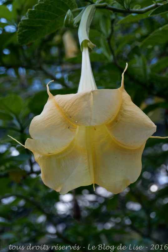 DSC02473_DxO