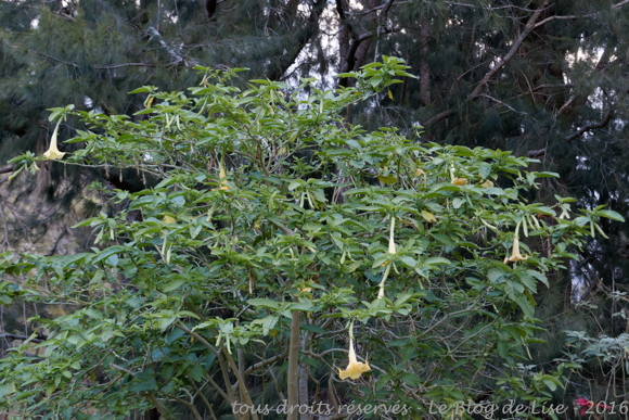 DSC02475_DxO