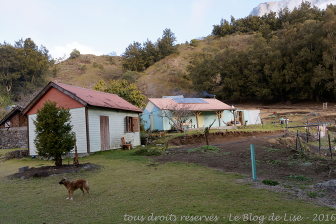 DSC02479_DxO