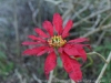 DSC02471_DxO