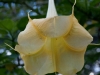 DSC02473_DxO