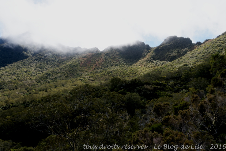 DSC02389_DxO_1