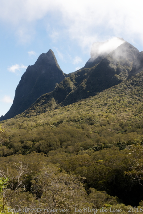 DSC02392_DxO