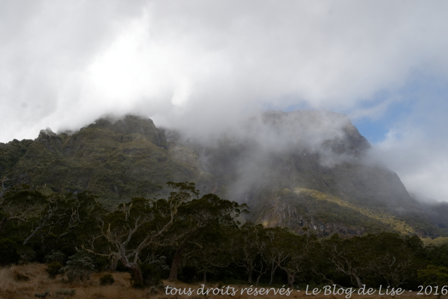 DSC02394_DxO