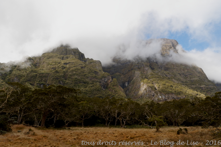 DSC02398_DxO_1