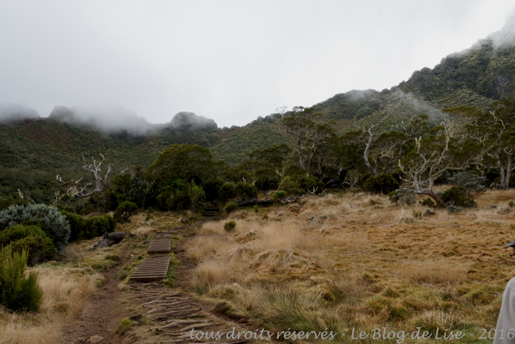 DSC02399_DxO_1