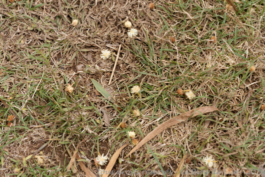 DSC02405_DxO
