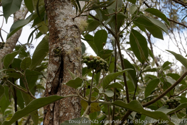 DSC02412_DxO