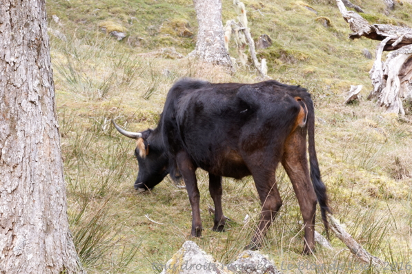 DSC02419_DxO