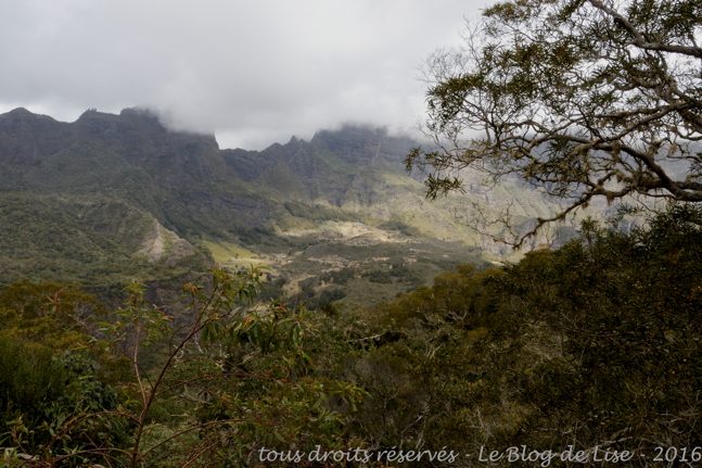 DSC02425_DxO_1