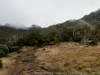 DSC02399_DxO_1
