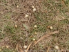 DSC02405_DxO