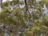DSC02410_DxO