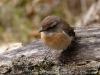 DSC02416_DxO