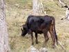 DSC02419_DxO