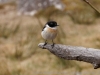 DSC02423_DxO