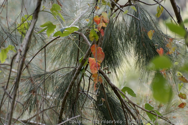 DSC02448_DxO