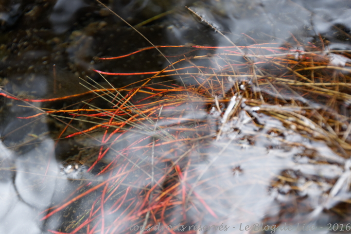 DSC02453_DxO