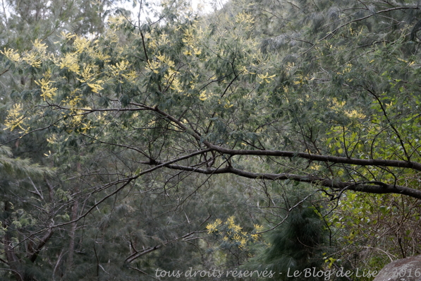 DSC02455_DxO