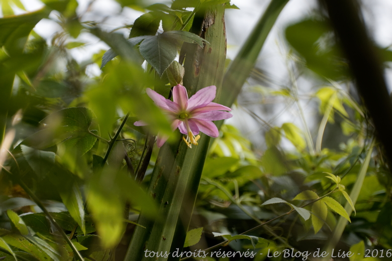 DSC02457_DxO