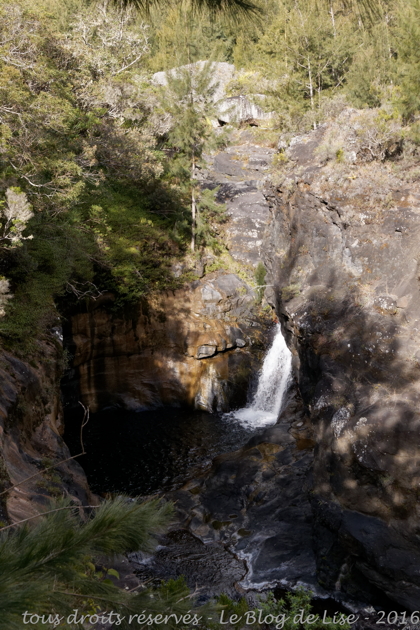 DSC02464_DxO