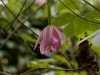 DSC02435_DxO