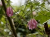 DSC02436_DxO
