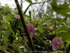 DSC02438_DxO