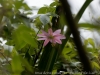 DSC02439_DxO