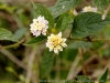 DSC02446_DxO_1