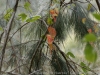 DSC02448_DxO