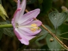 DSC02451_DxO