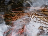 DSC02453_DxO