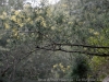 DSC02455_DxO