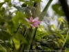 DSC02457_DxO