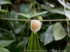 DSC02461_DxO