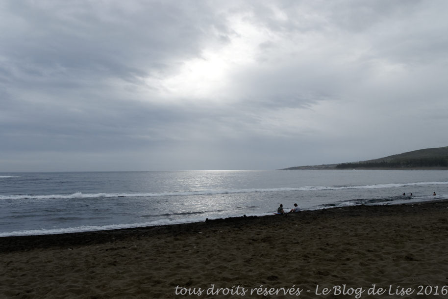 DSC02690_DxO